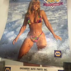 Napa Girl Swimsuit Calendar 1995 