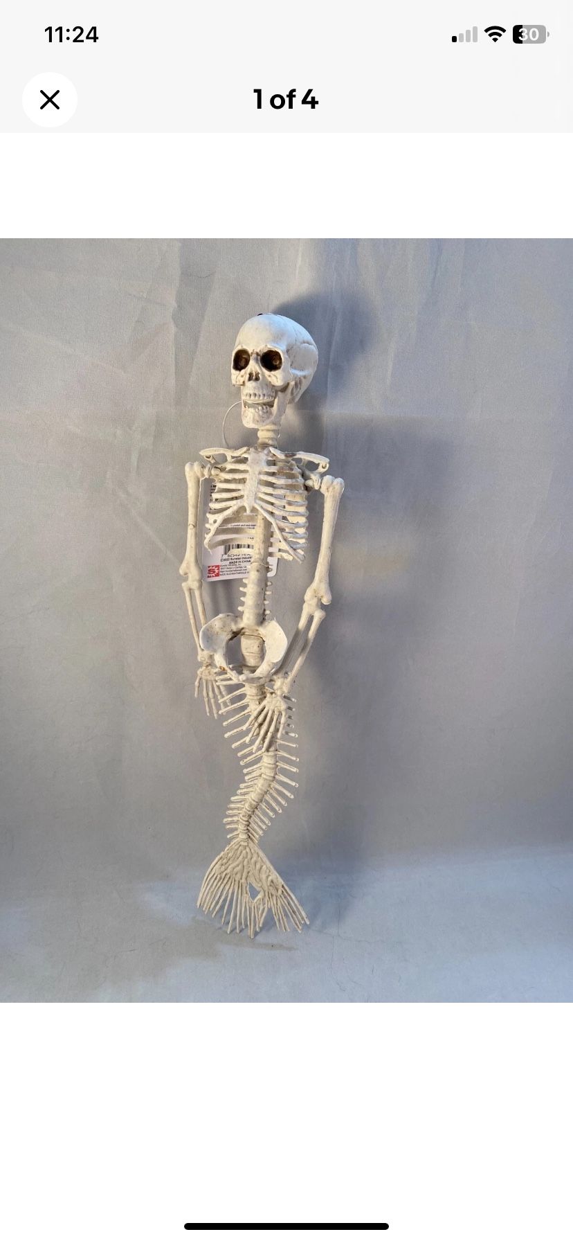 Mermaid Skeleton 15 Inches Halloween Prop Decoration Hanging