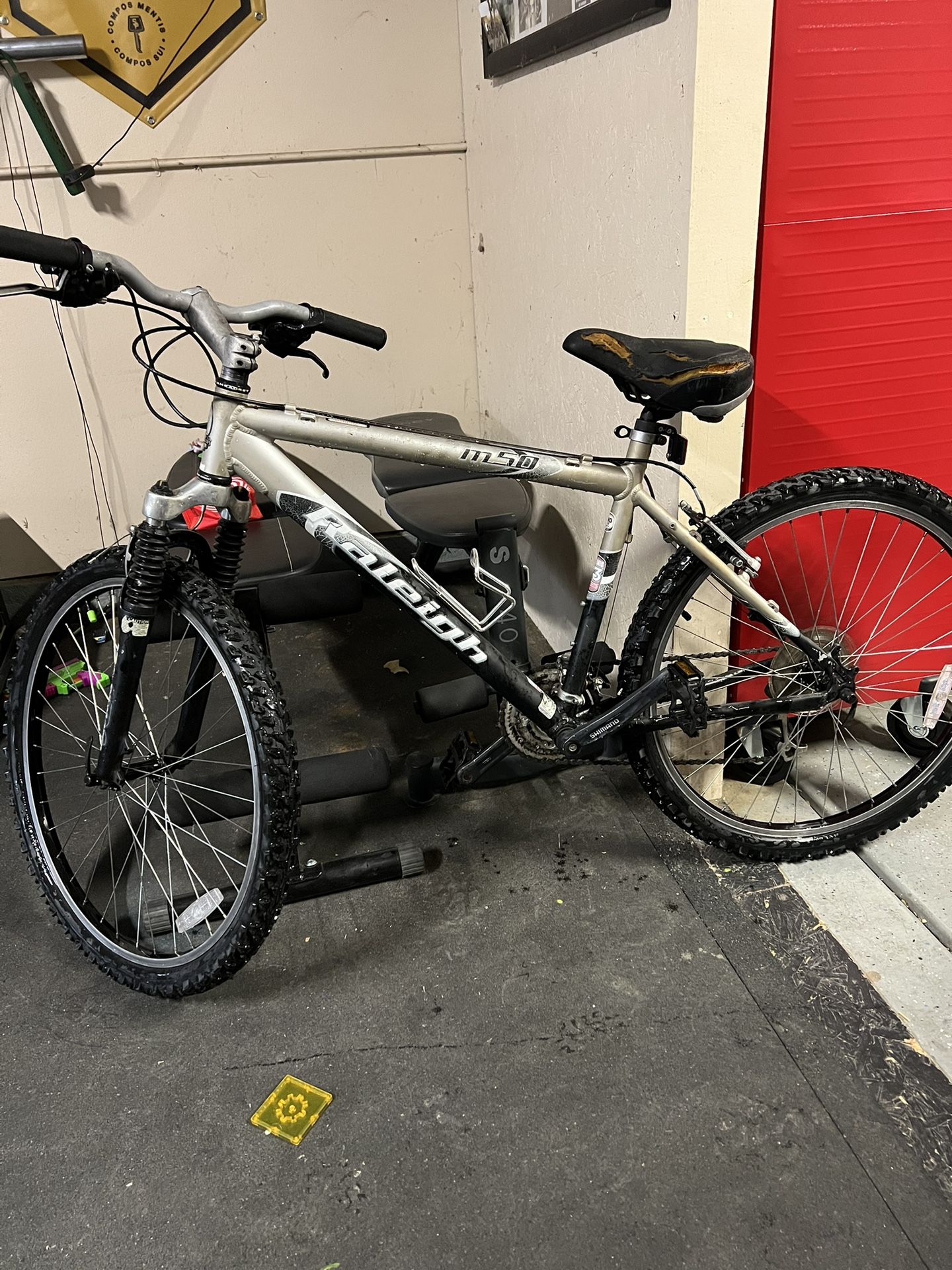 M50 Raleigh Mountain Bike