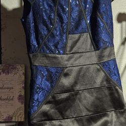 Dressbarn Stylish blue sequin dress (sz 4) 