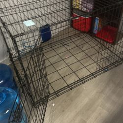 Dog Kennel 