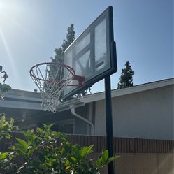 Basketball Ball Hoop