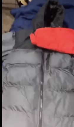 Polo Assassin  Text For More Details 