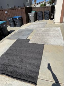 Free area rugs free free