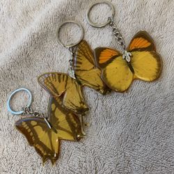 Real Butterfly Specimen Keychain
