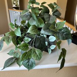 Fake Plant 