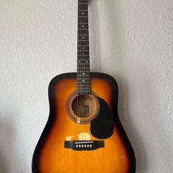 Acoustic Rogue Dreadnought RA090-SN