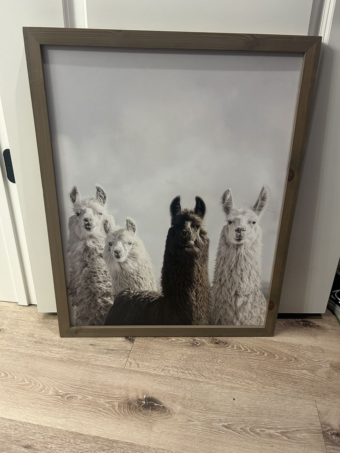 Llama Wall Art 