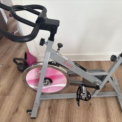 Sunny stationary exercise bike. 