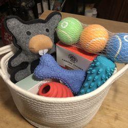 Dog Toy Gift Set 