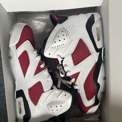 VNDS Jordan 6 Carmine Size 11