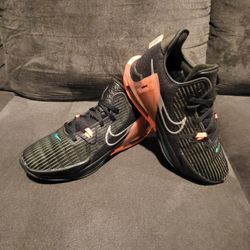 Lebron Witness 6.