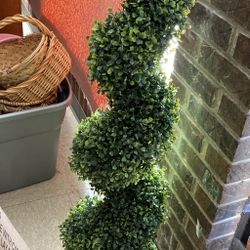 Beautiful Spiral Tree