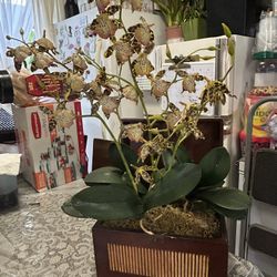 Plants Artificial De Decoration 