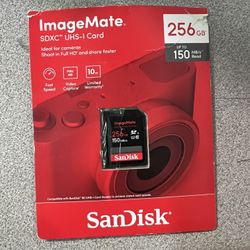 UHS-I Card 256GB
