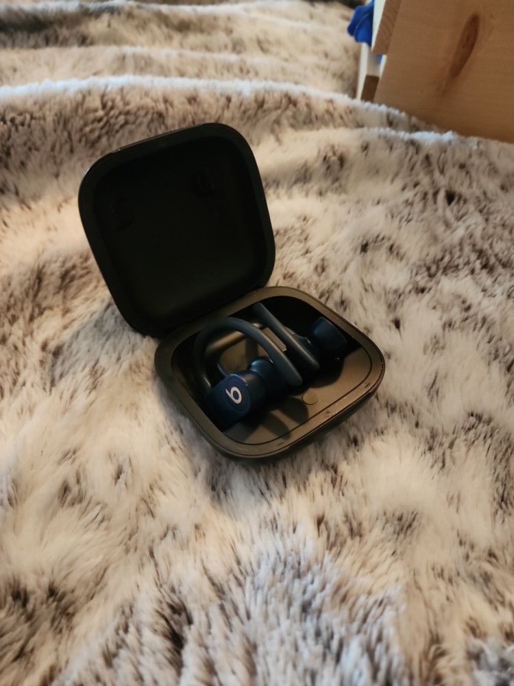 Beats by Dr. Dre Powerbeats Pro In Ear Wireless Headphones
