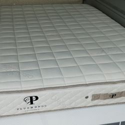 King Latex Mattress 