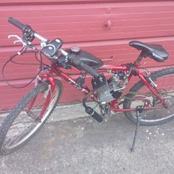 80cc Motorized Bike 