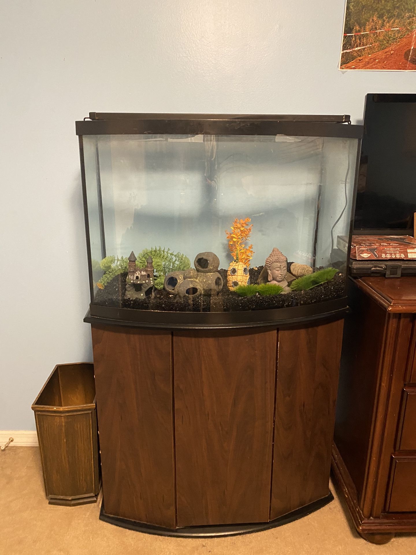 40 gal bowfront