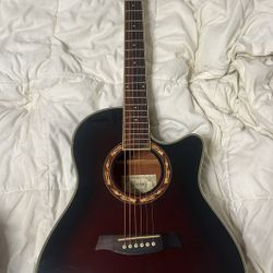 Electric Acoustic Guitar