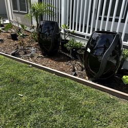 Plant pots /// gun safe