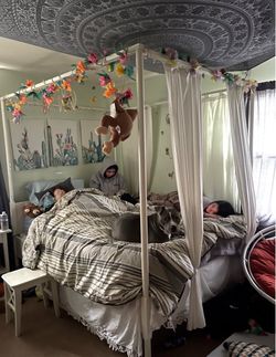 Free IKEA canopy solid wood bed