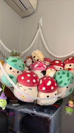 Malcom squishmallow