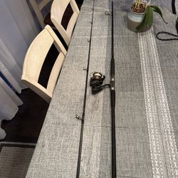 Surf fishing Rod /reel Setup 