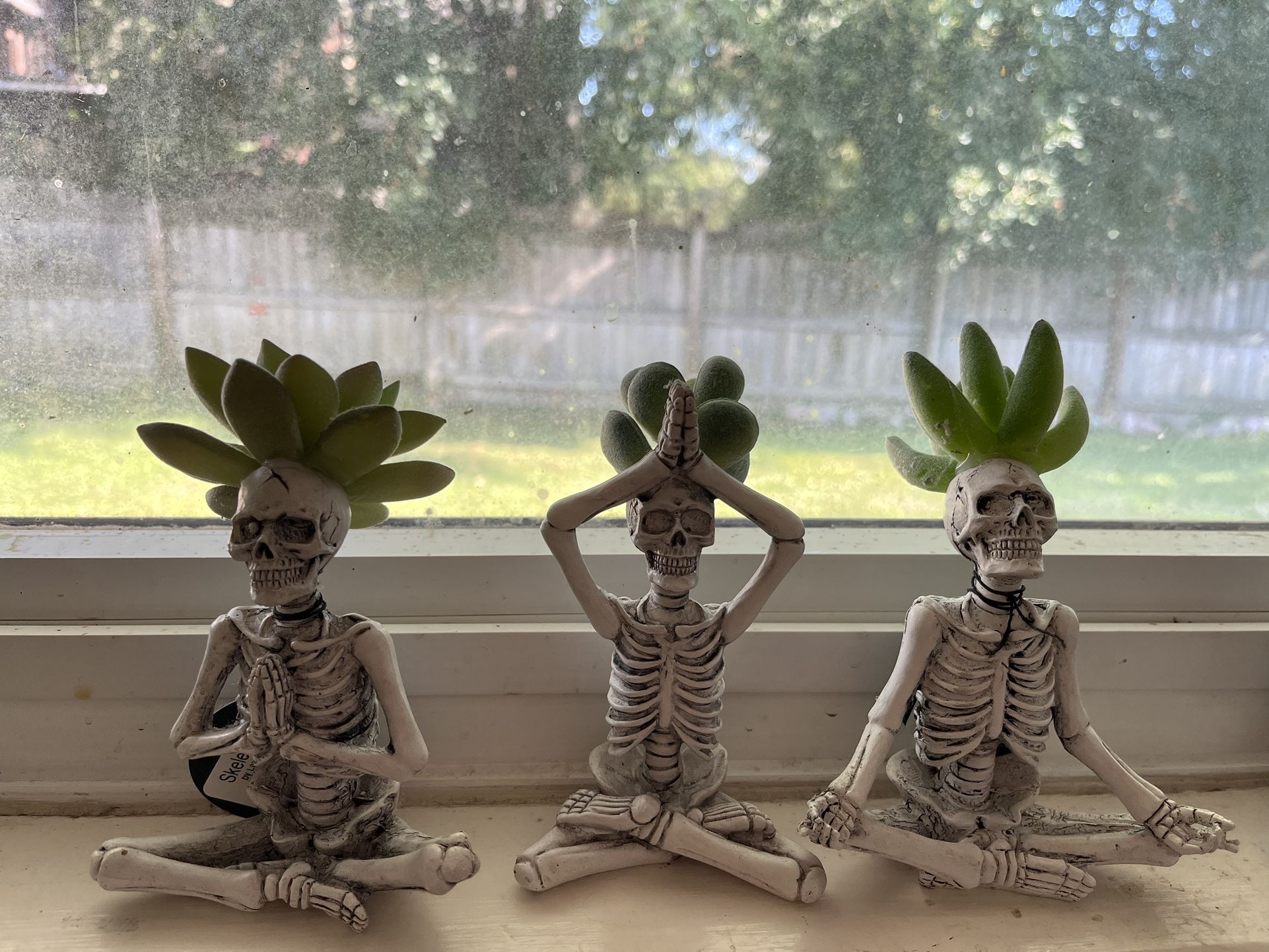 Set of three namaste yogi succulent skeletons