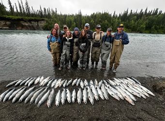 Free vacuum sealed Alaskan coho salmon