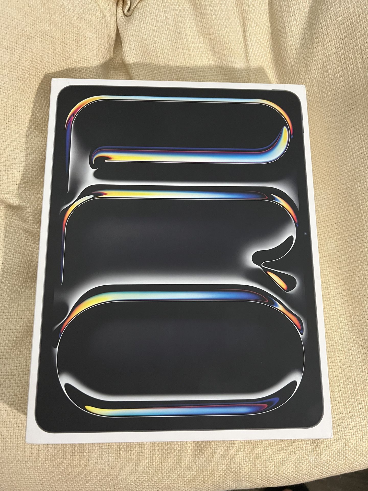 iPad Pro 13inch M4 256GB