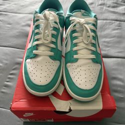 Nike Dunks 