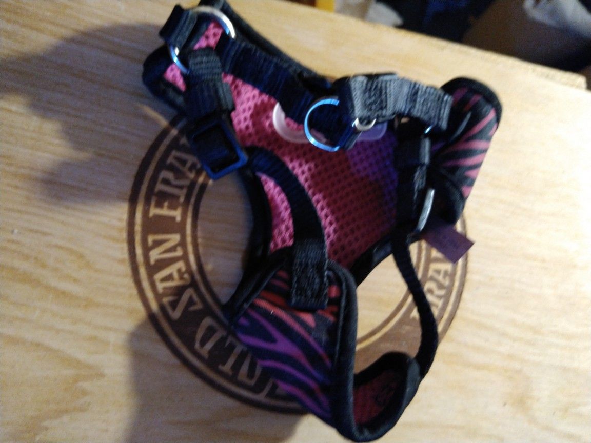 Cat Harness