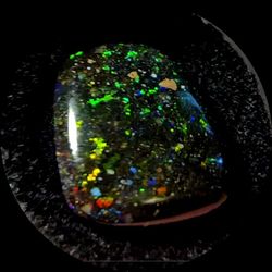 Huge 7.5 Ct. Honduran Black Opal