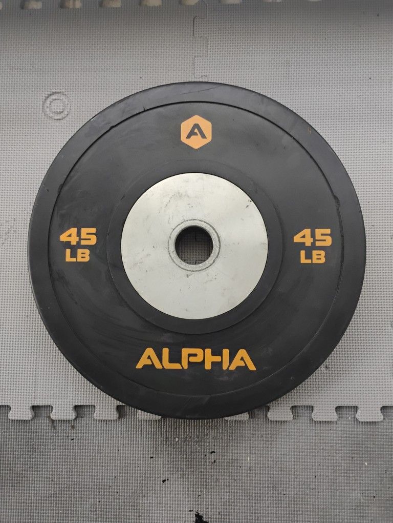 45 Ibs Olympic Bumper Plate