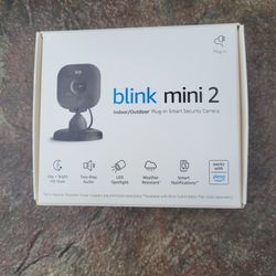 BLINK MINI 2