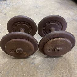 30lbs Dumbbells Weights 