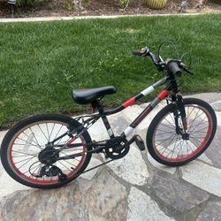 Guardian 20 inch Small Bicycle