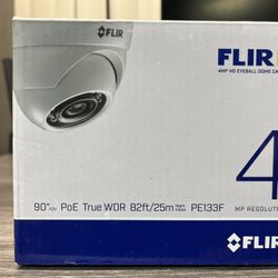 Flir PE133F 4MP HD IP Eyeball Dome Camera