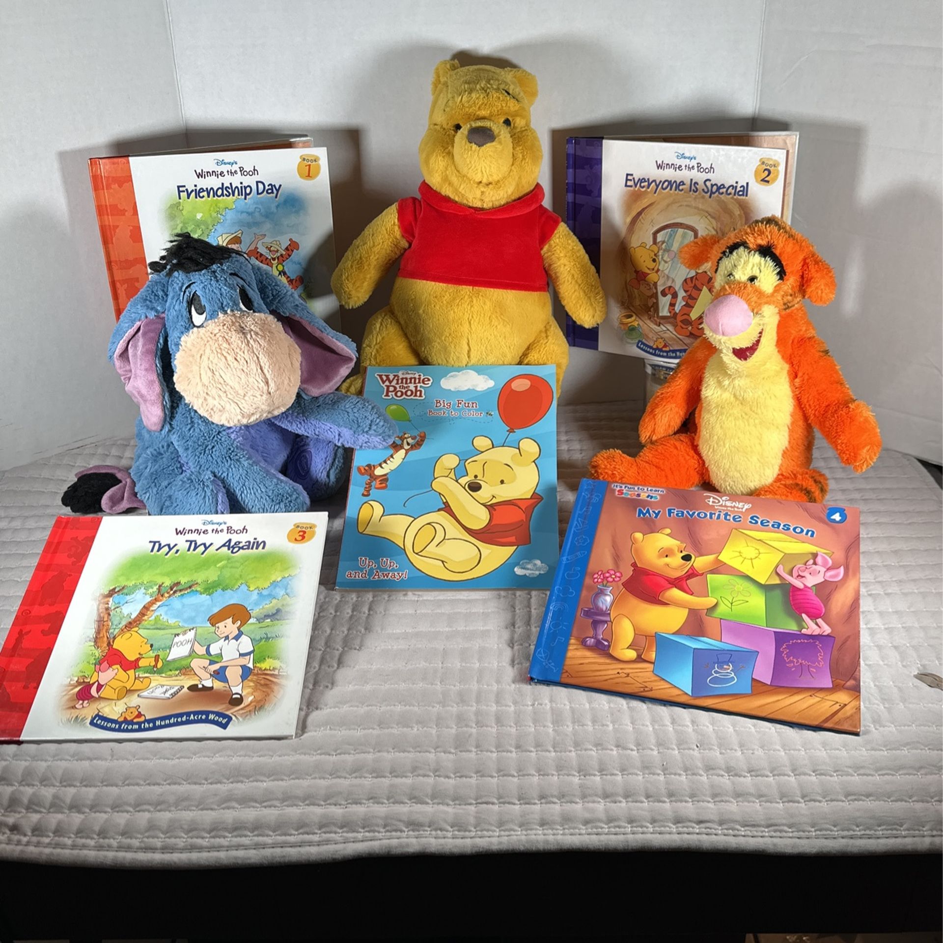 Winnie The Pooh Package