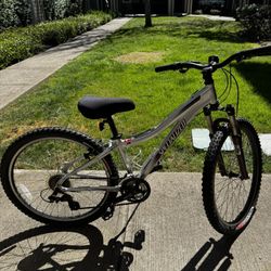 Specialized Hardrock Sport Mountain Bike $300
