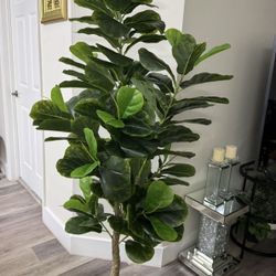 ! Pretty Artificial Plant  Fig Tree 6 Ft Tall Brand New ( Ask For Price)