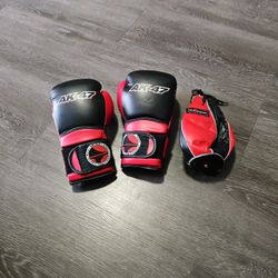 small boxing gloves and speed bag