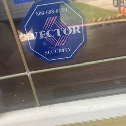 Vector Camera