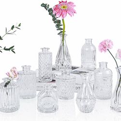 Clear Glass Bud Vases Set of 12 #1097