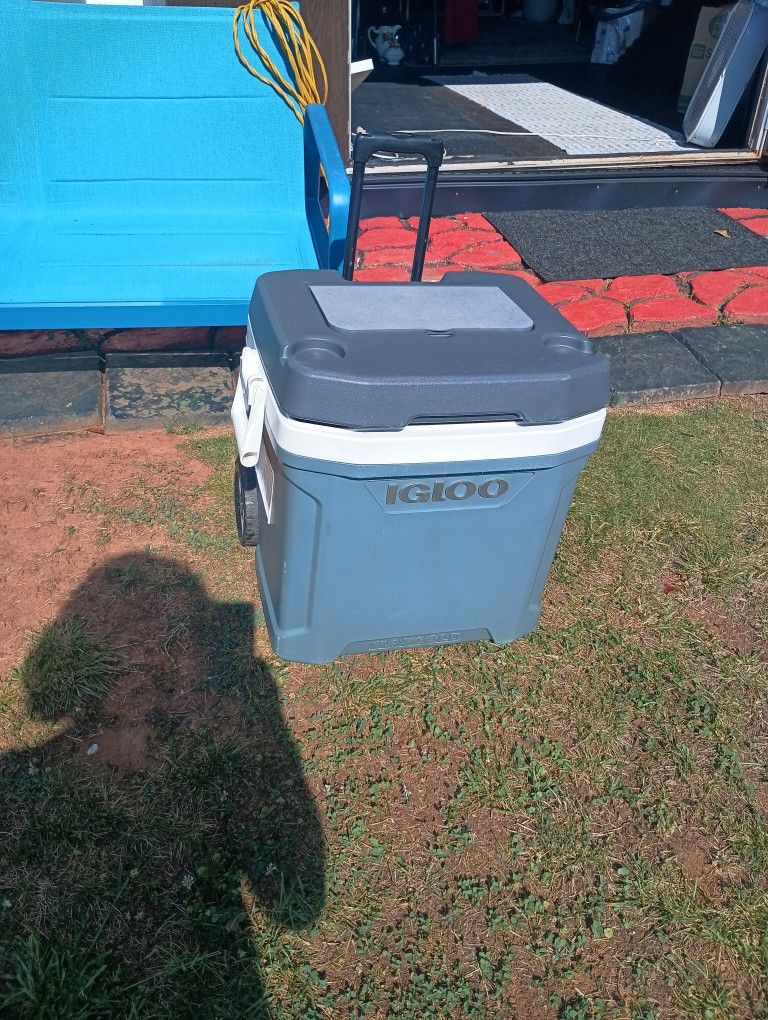 Cooler Wall Art Privacy Bamboo Shade