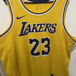 Nike Los Angeles Lakers Lebron James Jersey