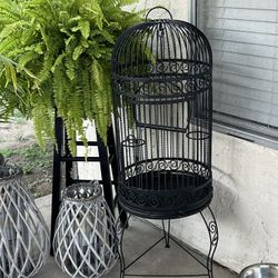 Antique Birdcage