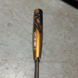 Baseball Bat