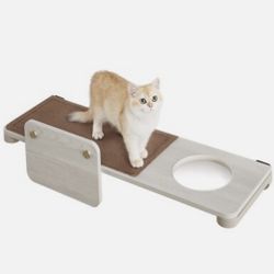 Cat Shelf 